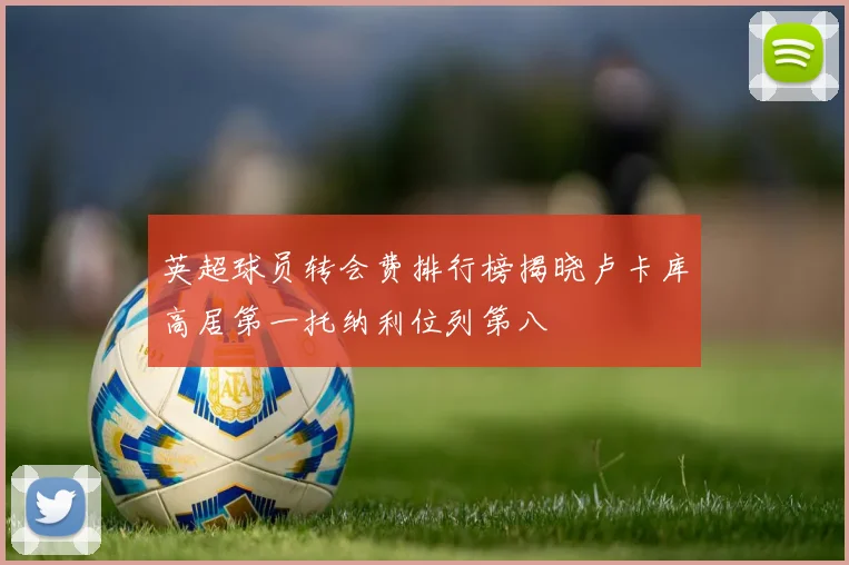 英超球员转会费排行榜揭晓卢卡库高居第一托纳利位列第八