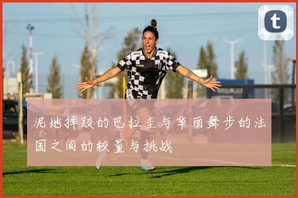 泥地摔跤的巴拉圭与华丽舞步的法国之间的较量与挑战